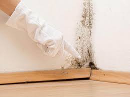 Willoughby Hills, OH Mold Removal & Remediation Company